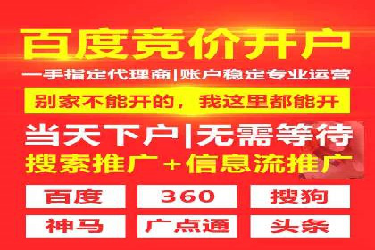 百度竞价与搜索引擎优化（SEO）的协同效应案例